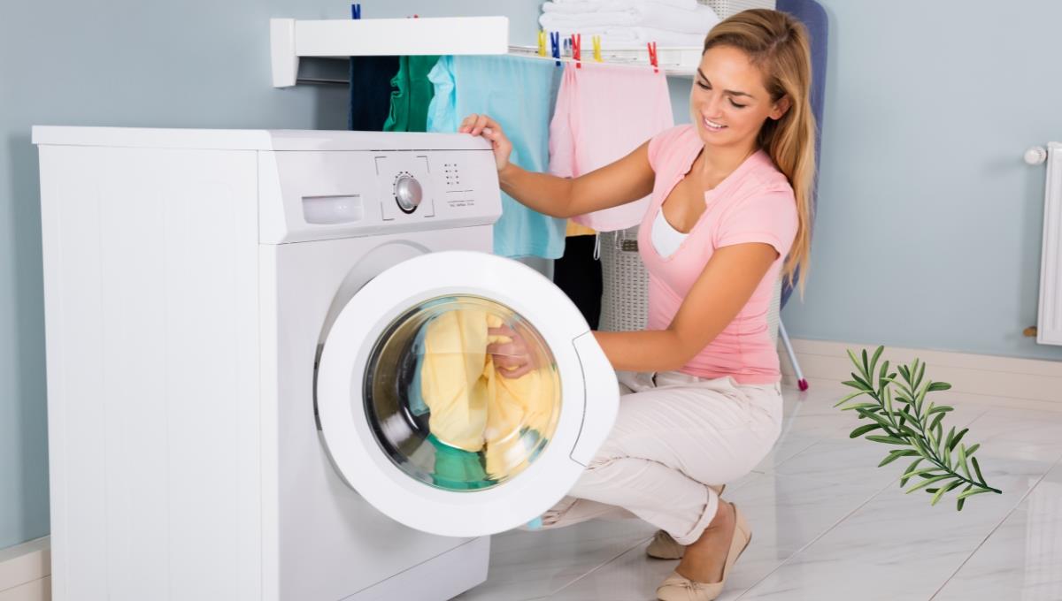 Coloca la rama de esta planta en el lavarropas y verás efectos inmediatos